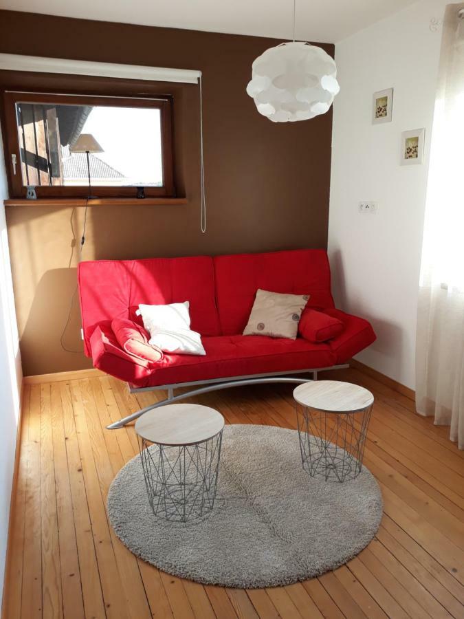 13 Rue De Sand Matzenheim المظهر الخارجي الصورة