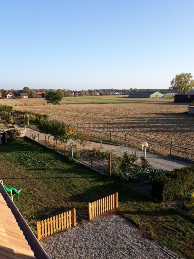 13 Rue De Sand Matzenheim المظهر الخارجي الصورة